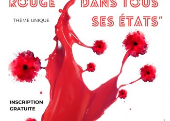 Affiche_concours_photo_Le-Tholy_2026 (002)