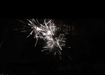 Feux de Saint Jean et Artifices (29)